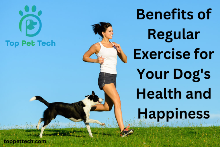 Benefits of Regular Exercise