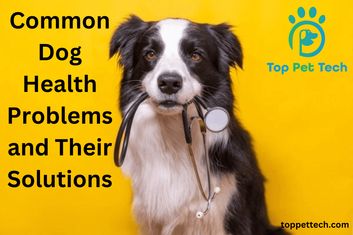 Common Dog Health Problems and Their Solutions