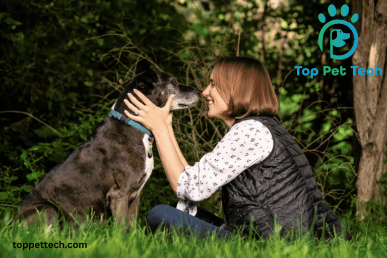 How to spend your Dog's First Day With Senior Dogs