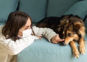 Common Dog Health Problems and Their Solutions