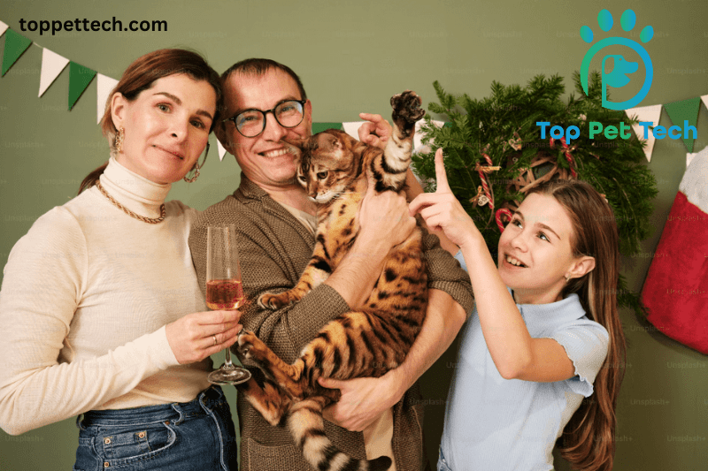 Choosing the Perfect Cat Breed for Your Family: A Comprehensive Guide