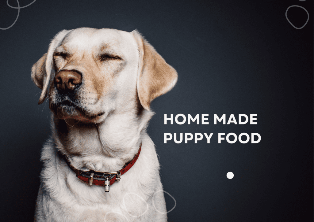 homemade puppy food