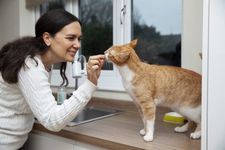How to Train a Cat