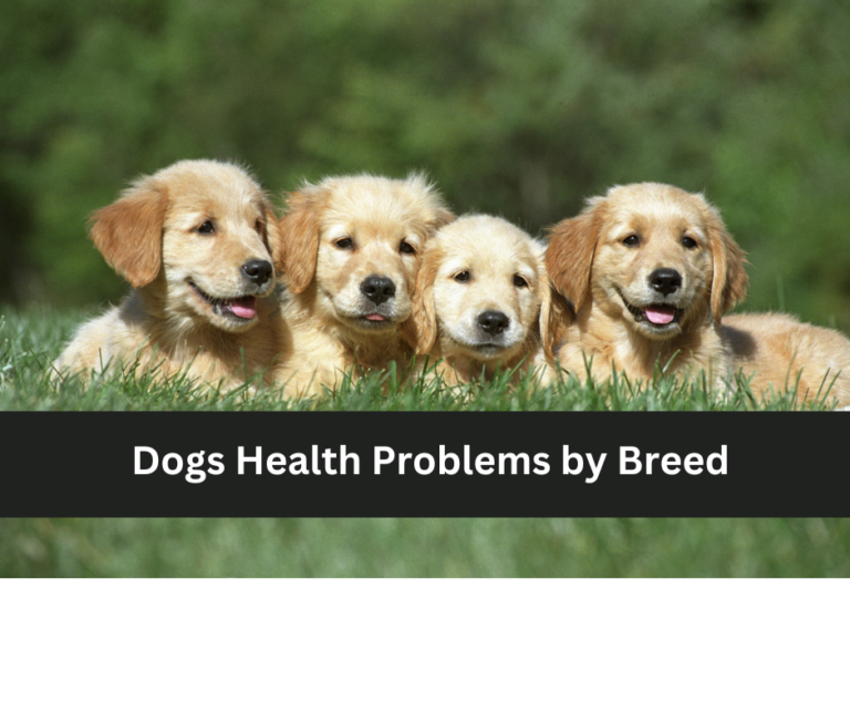 dogs health problems by breed