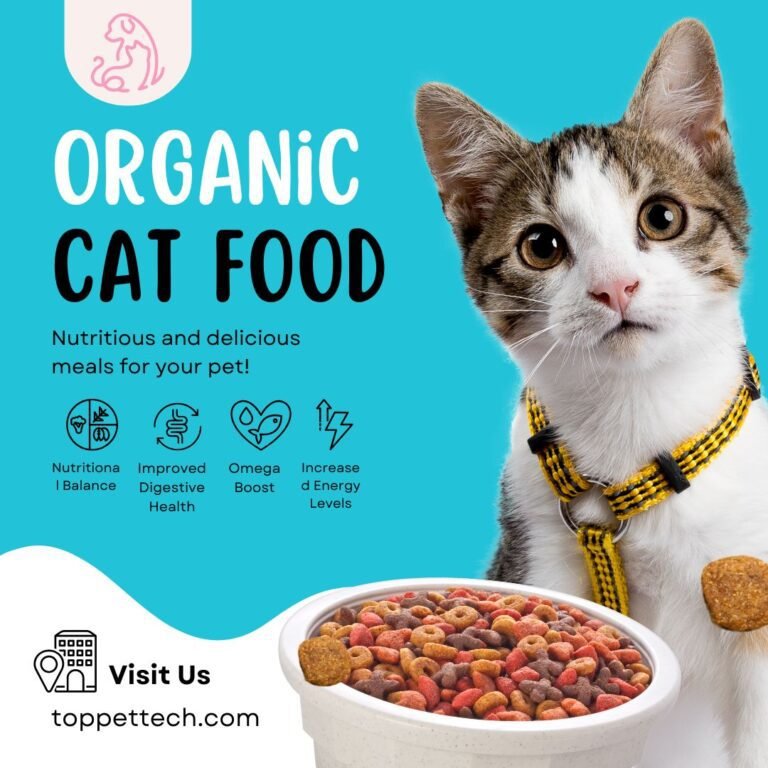 high calorie cat food