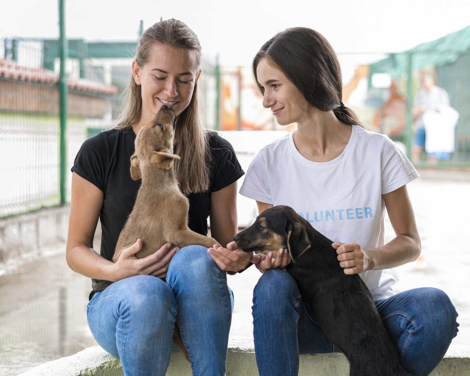 portsmouth humane society