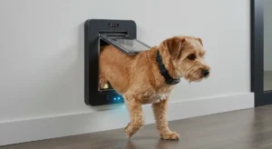 pet door with safety sensors