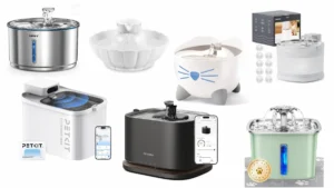 best smart water fountains for pets 2025