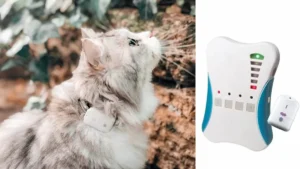 Pro-Track-tor RF cat finder for indoor and short-range use
