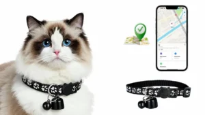 2026 Compact AirTag Cat Collar Set — Best for Apple Users