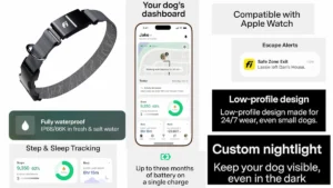 Fi Series 3 Plus-Best Smart GPS Dog Collar Experience 