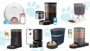 Comparison layout of top automatic WiFi pet feeders 2025
