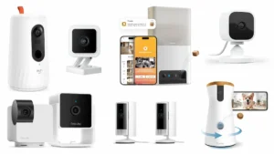 best-pet-cameras-2025
