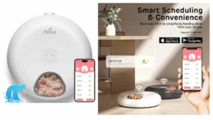 iPettie Donut Frost WiFi 6 Meal Feeder