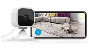 Blink Mini — Best for Small Apartments