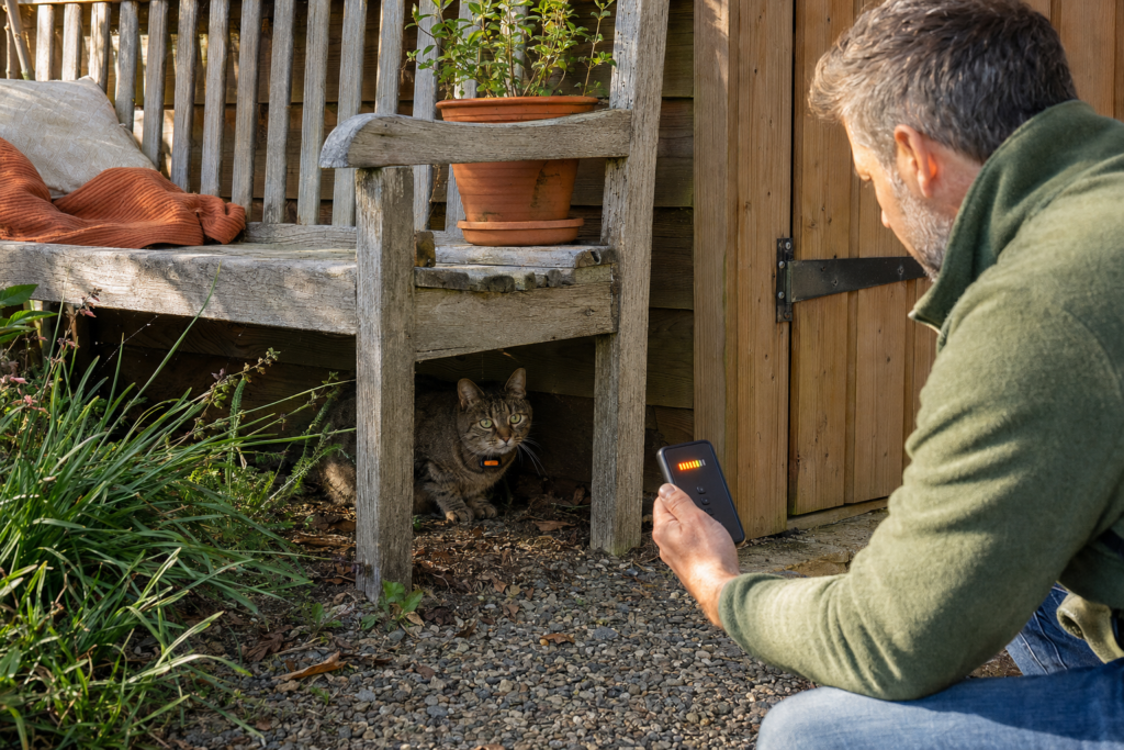 Owner using a handheld RF tracker to locate a cat hiding near a garden shed