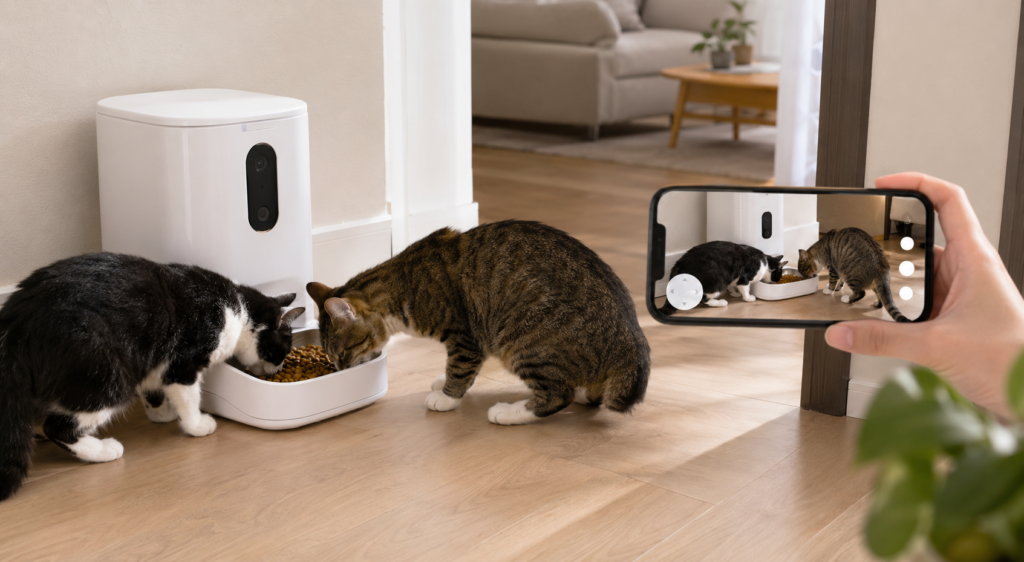 Text: Two cats using a camera-equipped feeder while their meal is viewed on a smartphone