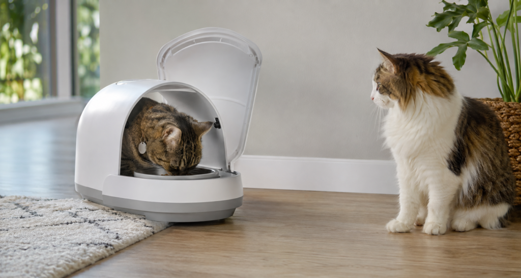 One cat eating from a selective-access feeder while another cat waits outside