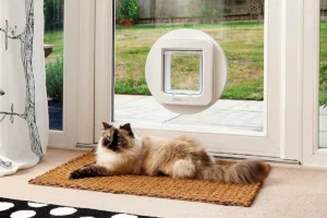 SureFlap Modern Microchip Cat Door