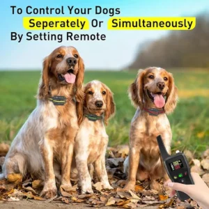 Best App Controlled Dog Training Collar 2026