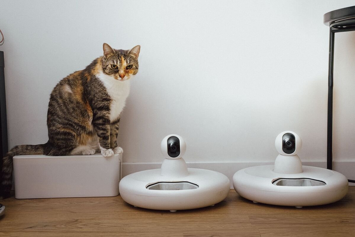 Automatic self-cleaning litter box for indoor cats