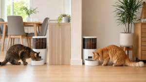 Automatic feeders for multiple cats at separate feeding stations