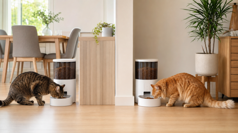 Automatic feeders for multiple cats at separate feeding stations